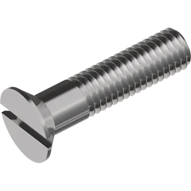 Maskinskruv försänkt skalle